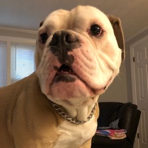 Meet your Posher, Paula